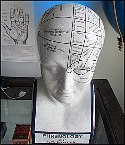 Kent Historical Society Museum Phrenology is the discredited and frankly absurd idea that you could learn a person's personality and traits by the bumps on their head