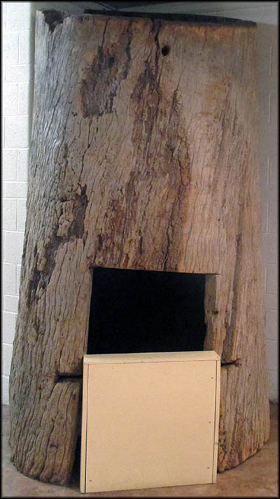 The hollowed out gum tree trunk was used for many years as the Goodwin family's smokehouse. In its later years, it was made into a playhouse.