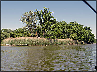 Lorain History Boat Tour: "Monkey Island's" official name is Bungert Island.