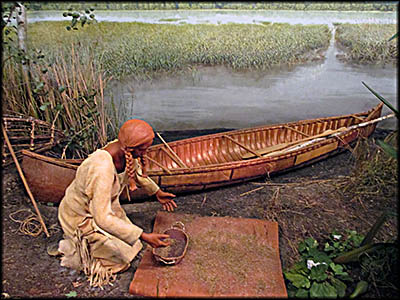 Ziibiwing Center Processing Rice